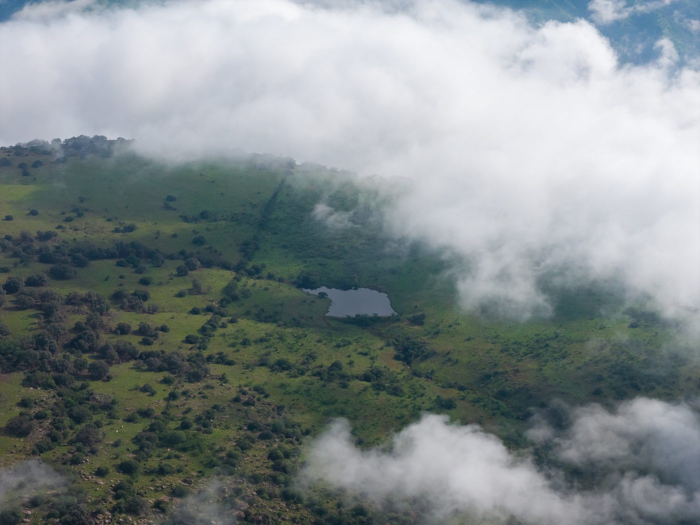 Vista aérea de un manantial en Reserva Caxcanes