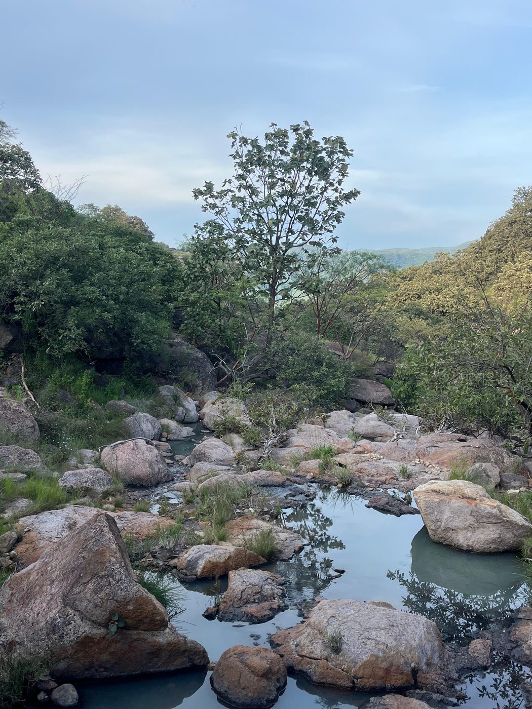 Arroyo entre rocas en Reserva Caxcanes