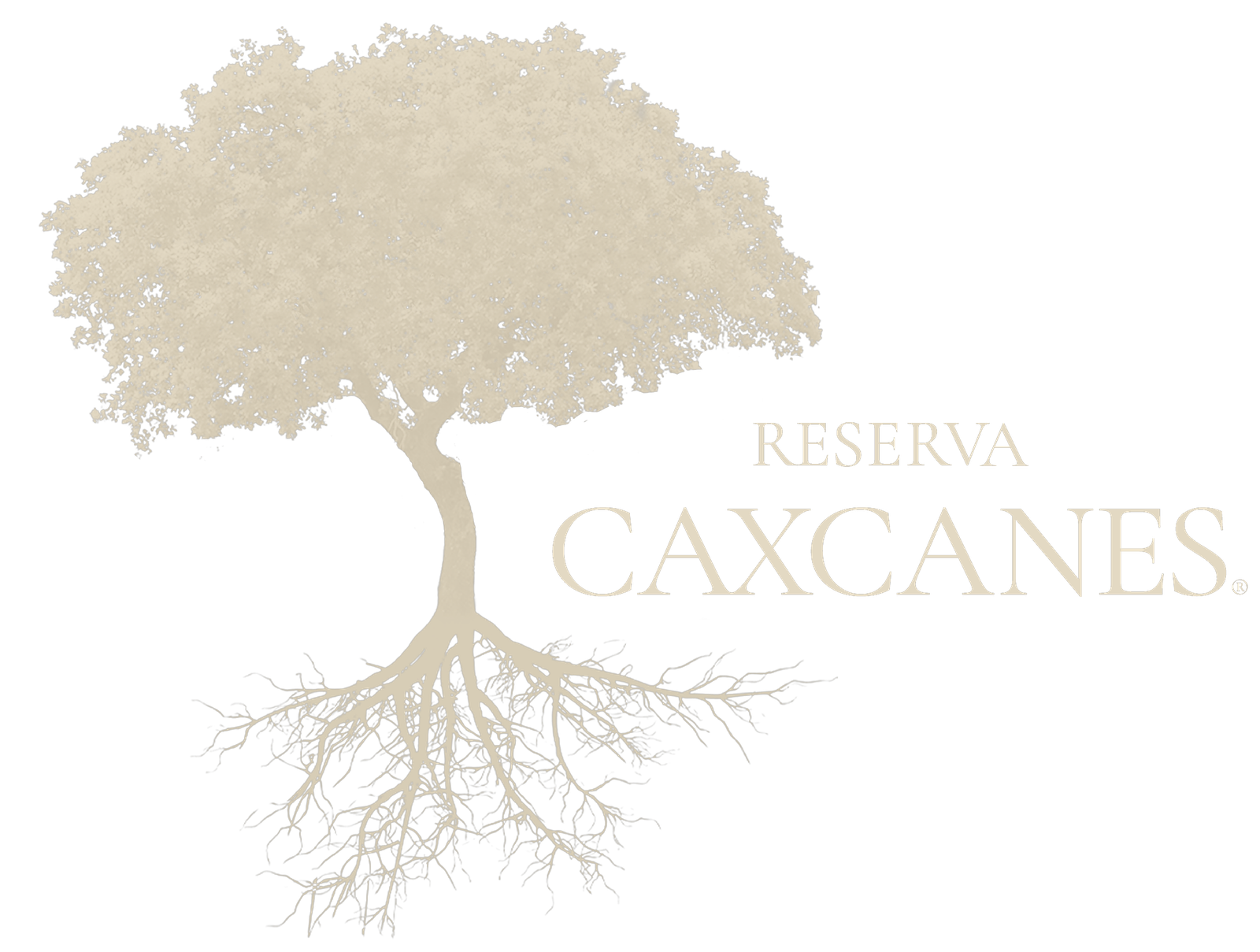 Reserva Caxcanes